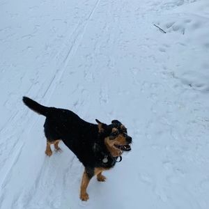 Meet your Posher, Heather